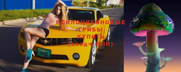 МДПВ Гусиноозёрск