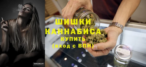 МДПВ Гусиноозёрск