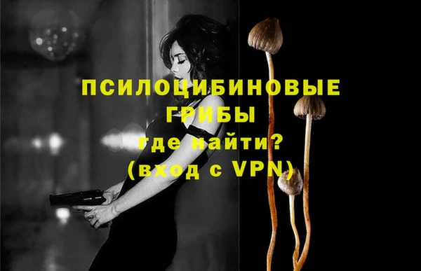 винт Гусев