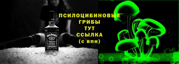 альфа пвп Гусь-Хрустальный