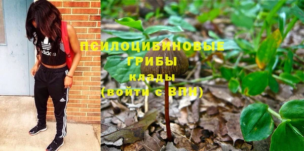 альфа пвп Гусь-Хрустальный