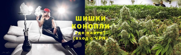 винт Гусев