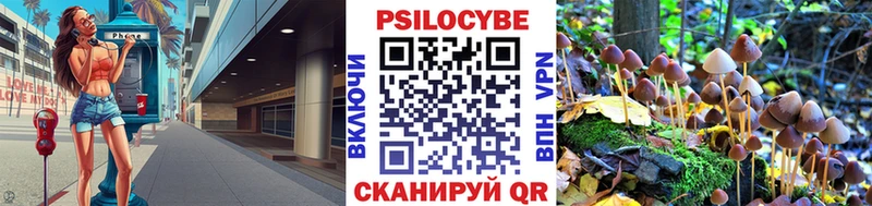 Галлюциногенные грибы GOLDEN TEACHER  Купить где  Покачи 