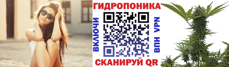 Купить где  Покачи  Канабис конопля 